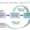 double loop learning
